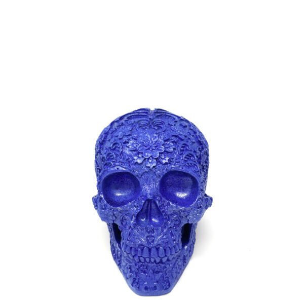 Skull Mr Blue